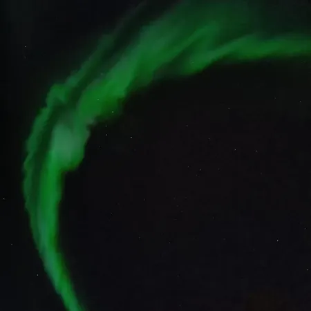Arctic *